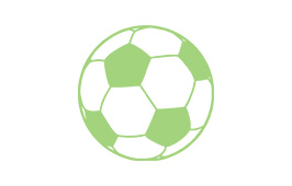 Fútbol Profesional