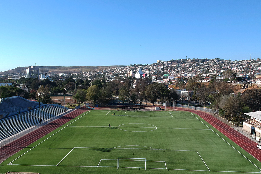 Fútbol Profesional