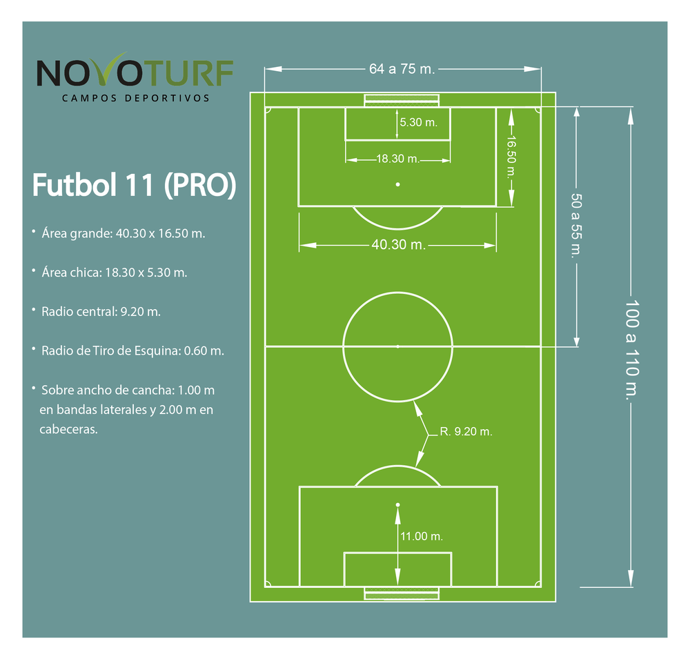 Fut 11 (Profesional)