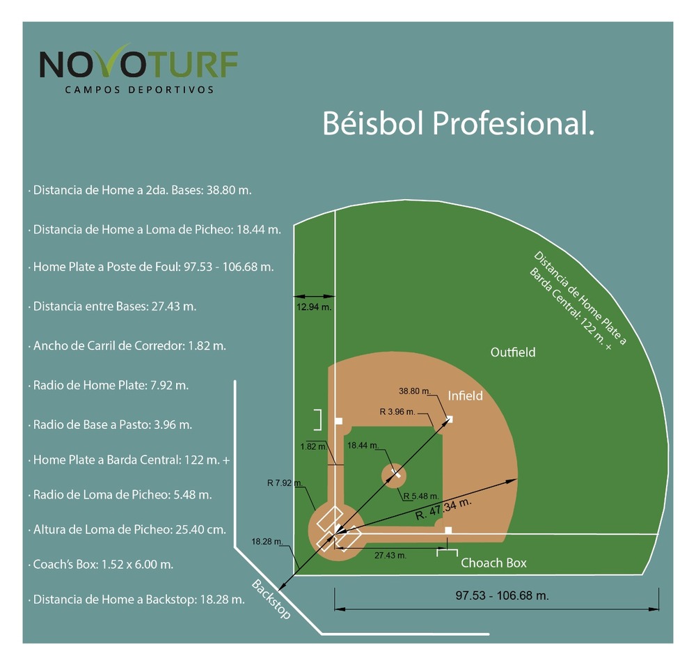 Béisbol profesional